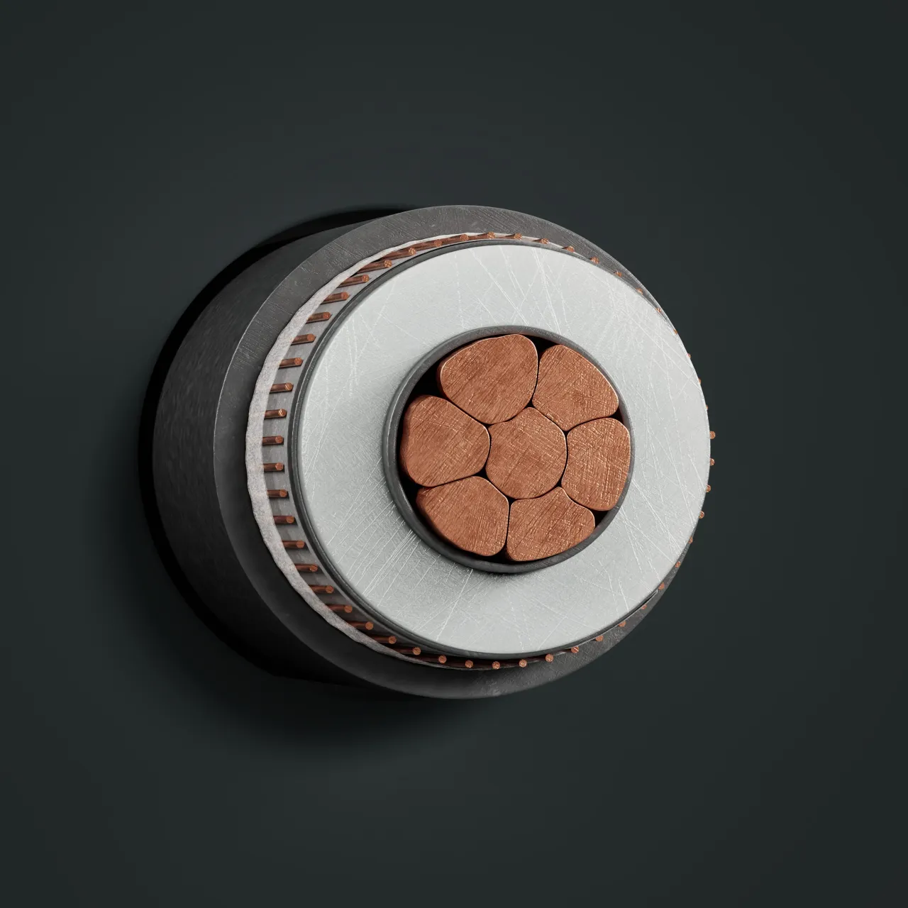 Cable: N2XS(F)2Y 6/10 kV: cross-section