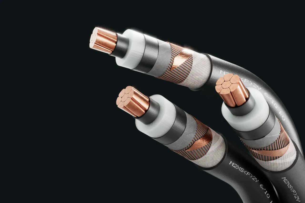 Cable image - N2XS(F)2Y 6/10 kV