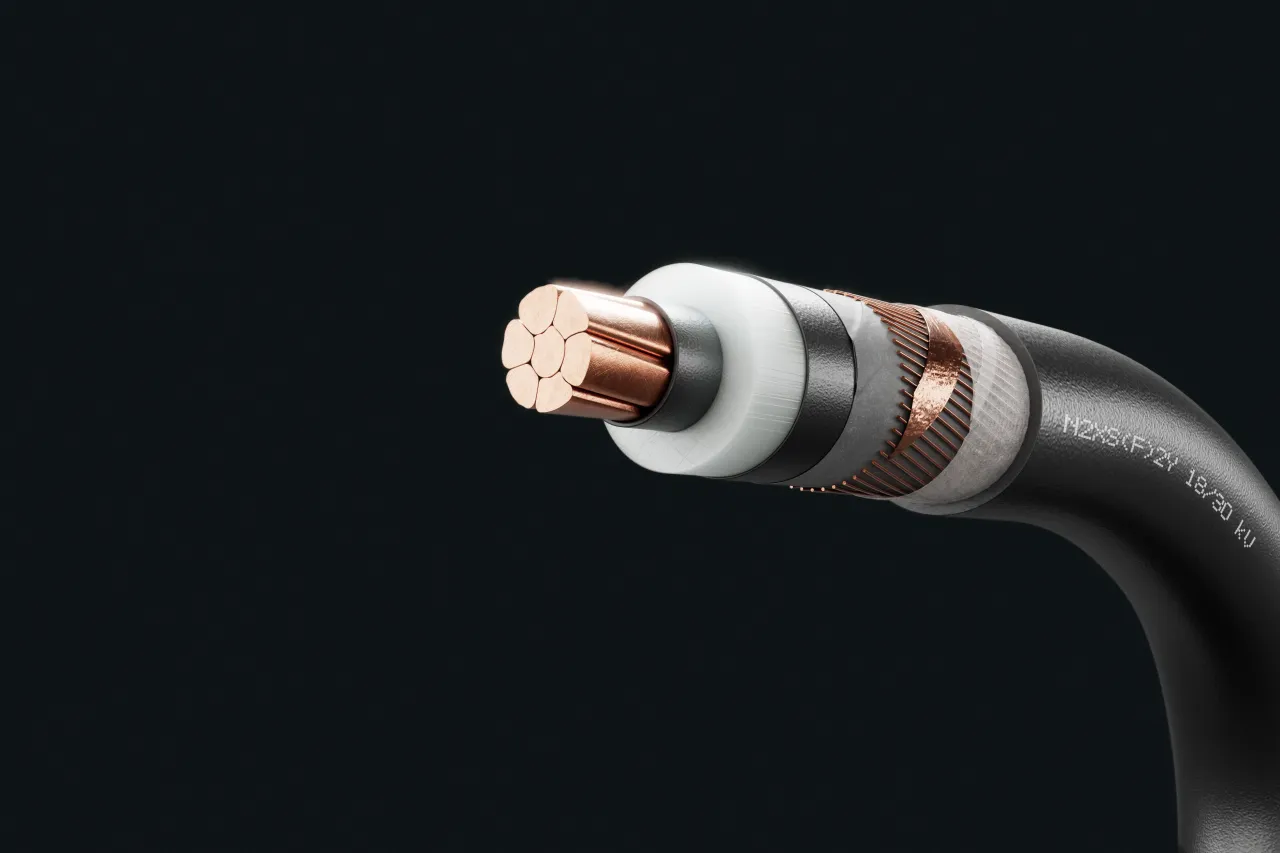 Cable image - N2XS(F)2Y 18/30 kV