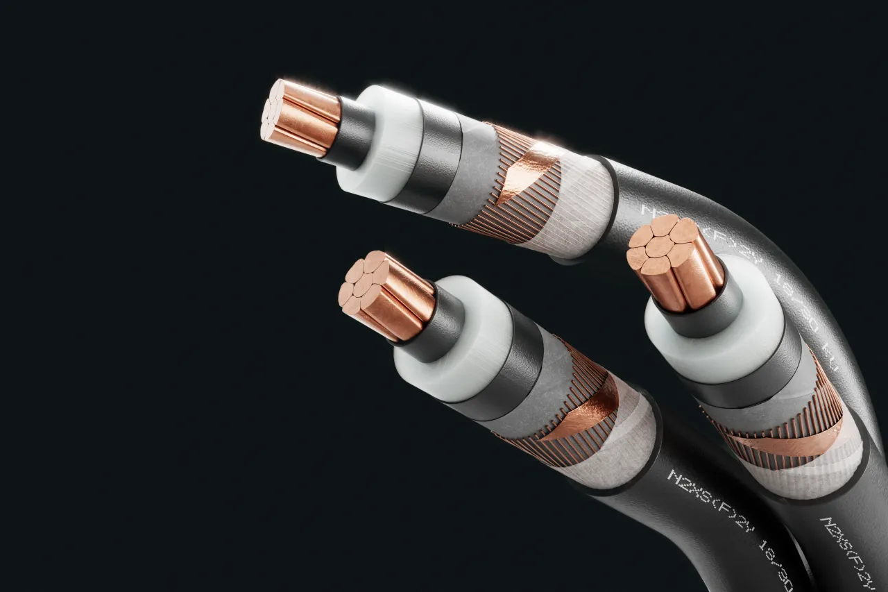 Cable image - N2XS(F)2Y 18/30 kV