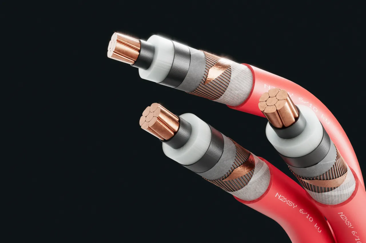 Cable image - N2XSY 6/10 kV