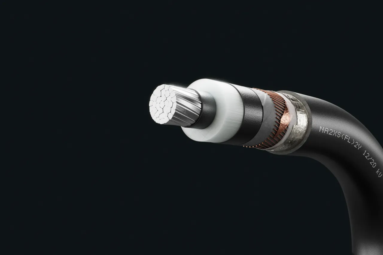 Cable image - NA2XS(FL)2Y 12/20 kV