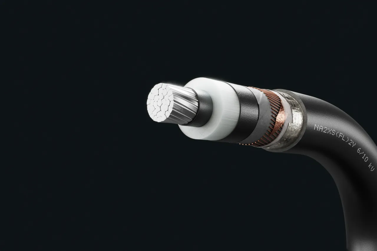 Cable image - NA2XS(FL)2Y 6/10 kV