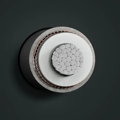 NA2XS(F)2Yv 6/10 kV