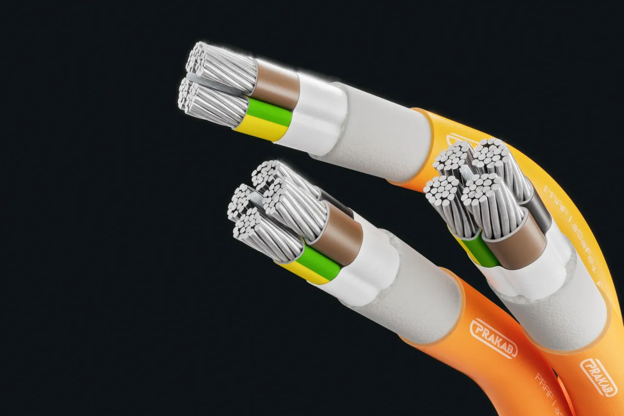 Cable image - PRAFlaSafe + AX