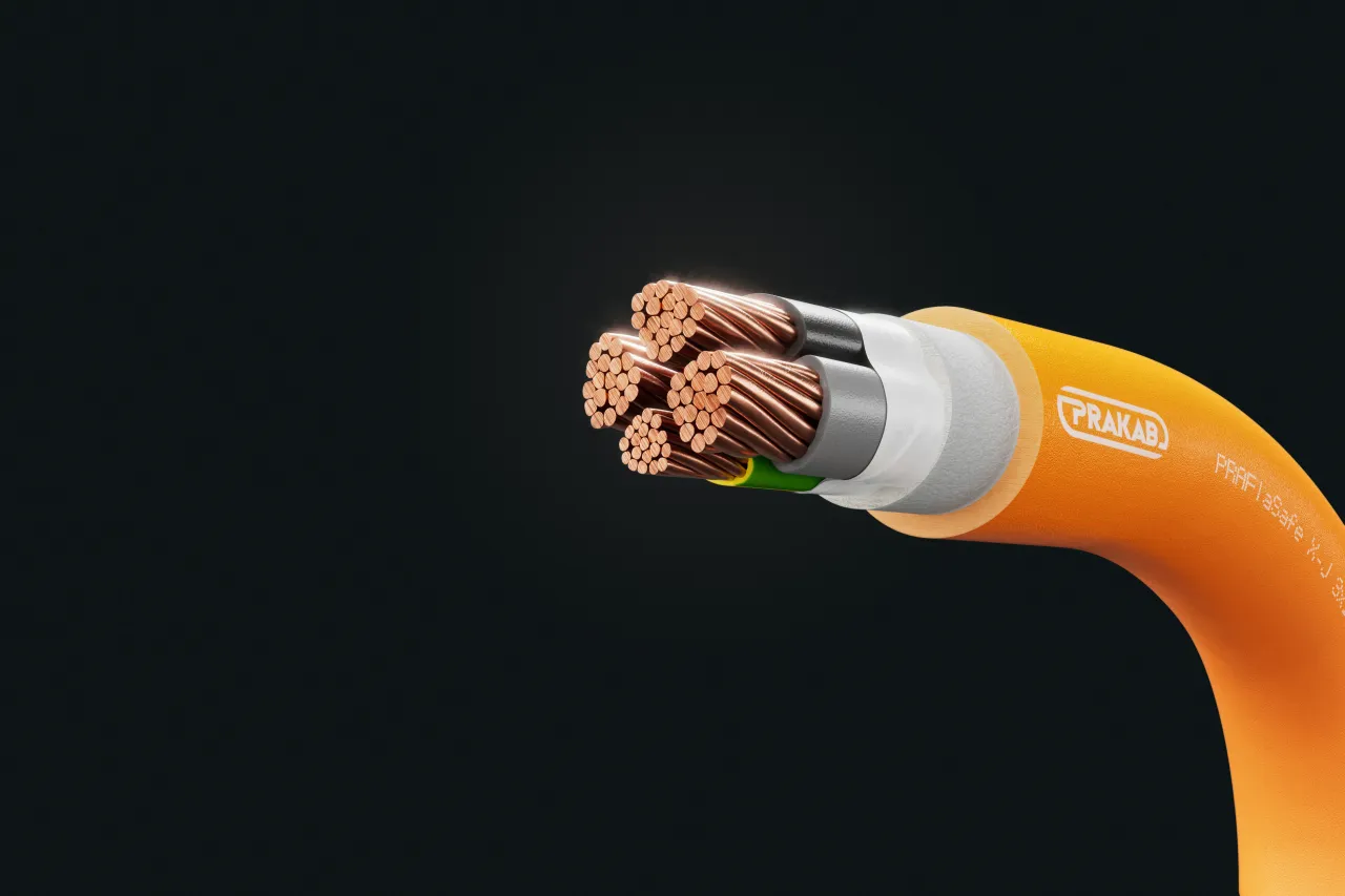 Cable image - PRAFlaSafe + X