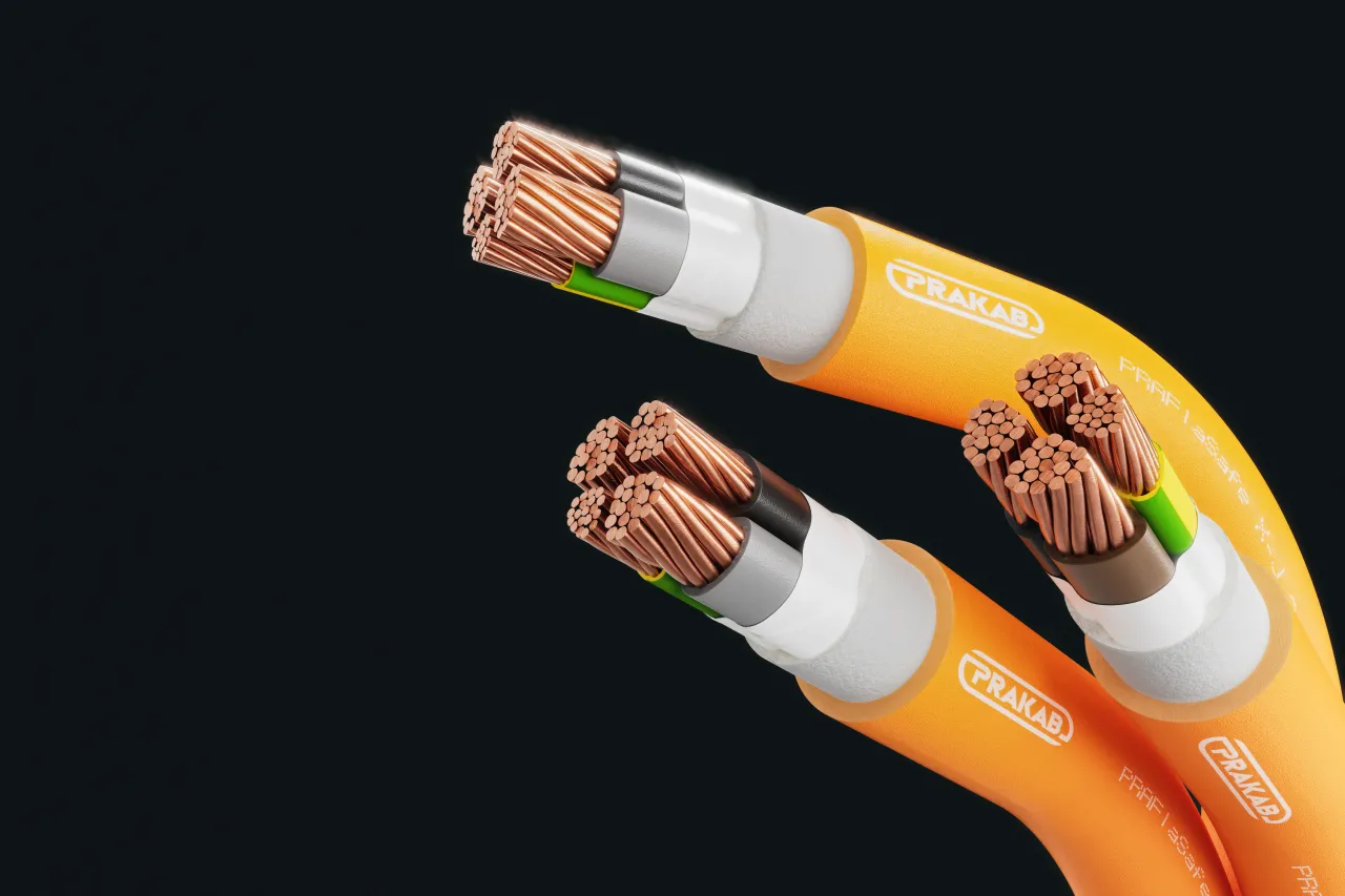 Cable image - PRAFlaSafe + X
