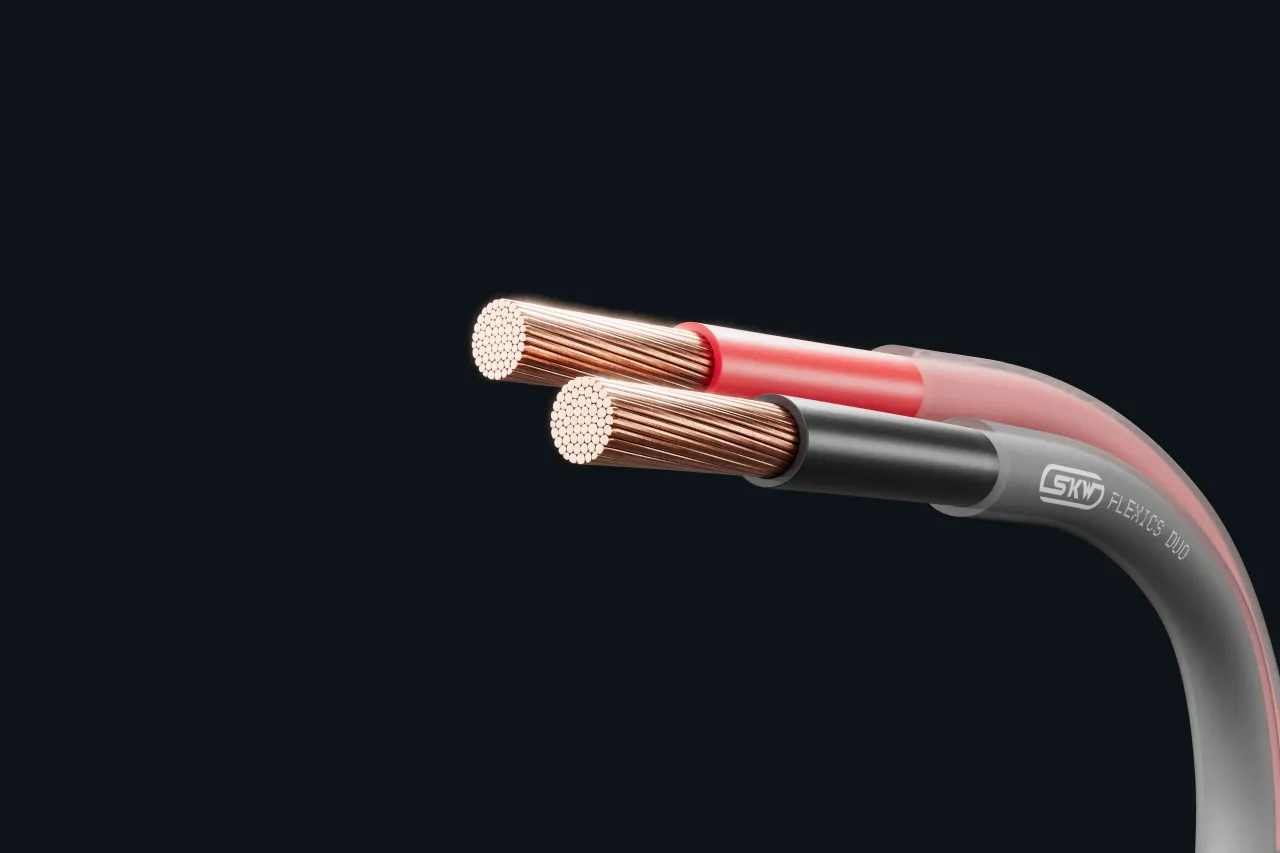 Cable image - FLEXICS® DUO
