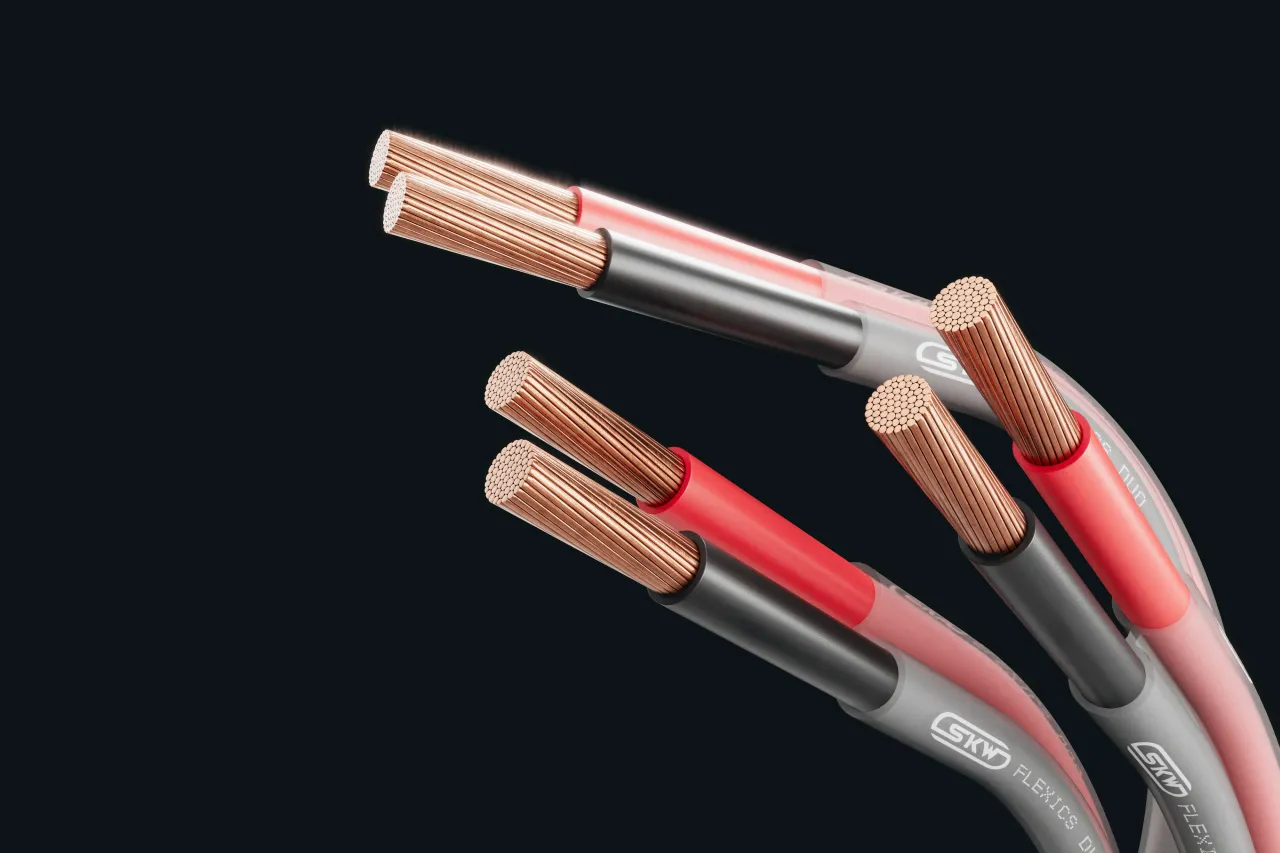 Cable image - FLEXICS® DUO