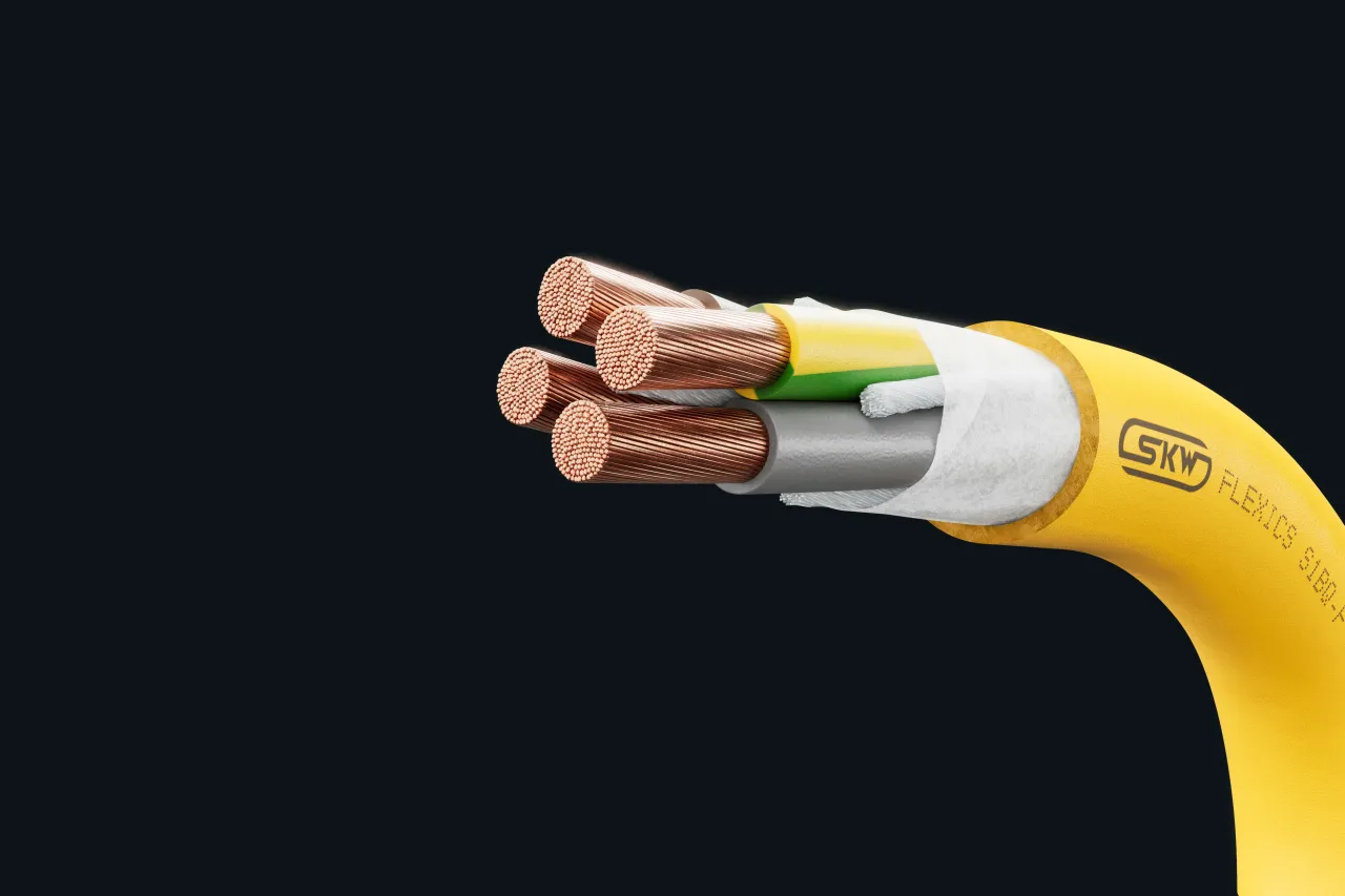 Cable image - FLEXICS® S1BQ-F