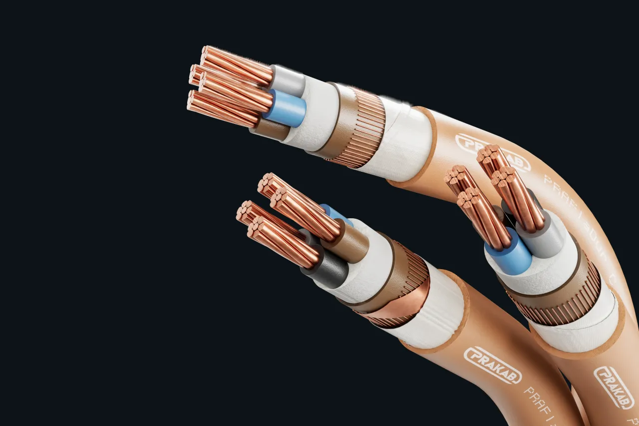 Cable image - PRAFlaDur C